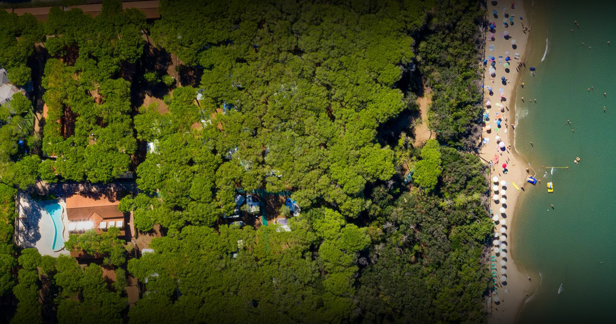 Vista aerea di una foresta densa che si affaccia su una spiaggia sabbiosa: a destra si vedono ombrelloni e persone lungo la riva, mentre a sinistra tra gli alberi si intravede una piscina azzurra vicino agli edifici della struttura ricettiva.