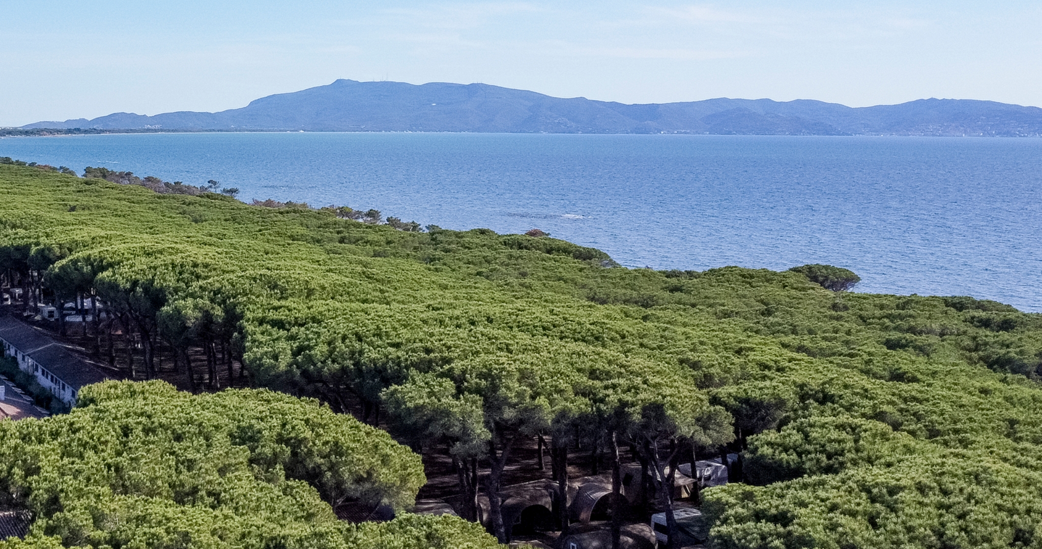 Fitta pineta lungo la costa, con il mare azzurro all’orizzonte e una catena di colline sullo sfondo.
