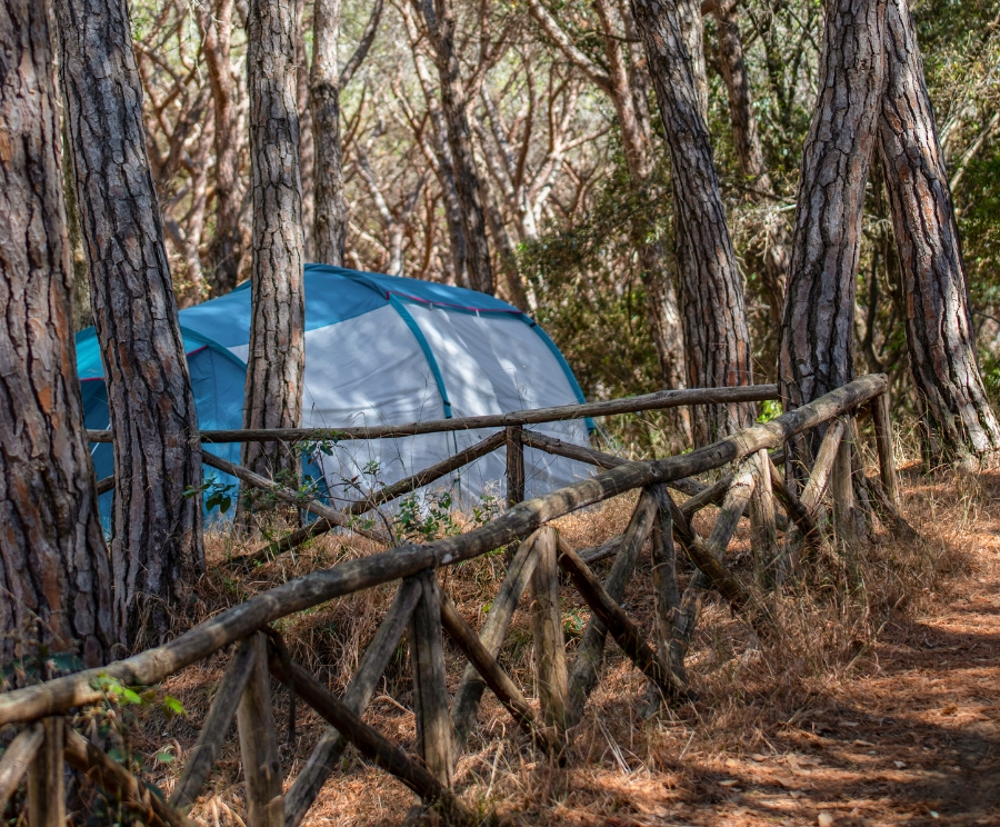 Una tenda blu in campeggio tra alberi del bosco, accanto a una recinzione di legno lungo un sentiero.